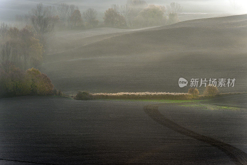 风景优美的托斯卡纳风景在日出，瓦尔德奥尔西亚，意大利