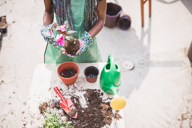 Re-Potting。年轻女子在花园里盆栽植物