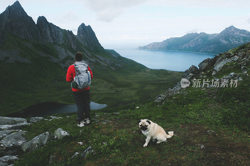 人们和狗在挪威北部的山上徒步旅行