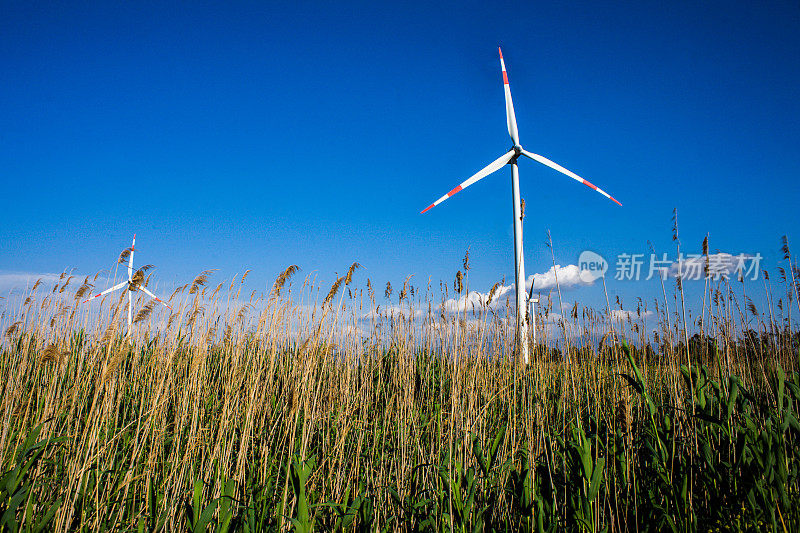 可再生能源工厂(风电场