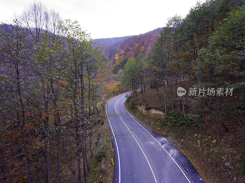 穿越秋天森林的道路-鸟瞰图