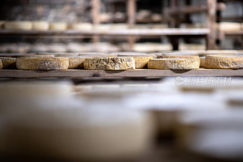 传统意大利托马奶酪生产