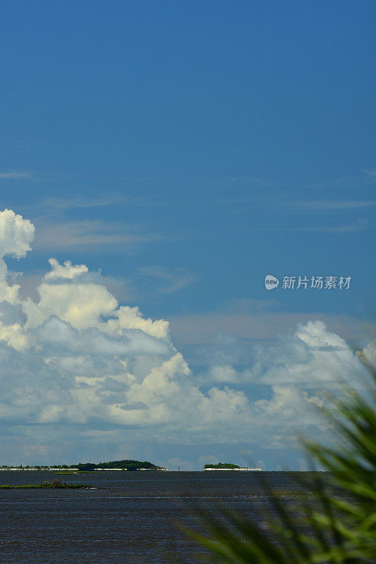 从前景棕榈树中可以看到，在贫瘠的沿海岛屿上升起的夏季云