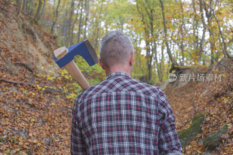 成年伐木工人手持大斧头在森林里准备过冬的柴火