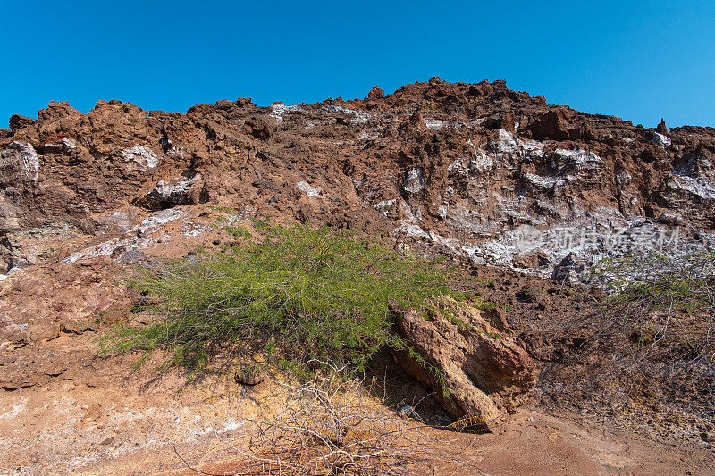 霍尔木兹海峡岛,伊朗