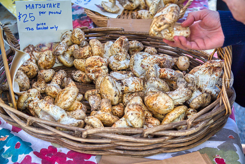 选择一种蘑菇-农贸市场野生松茸