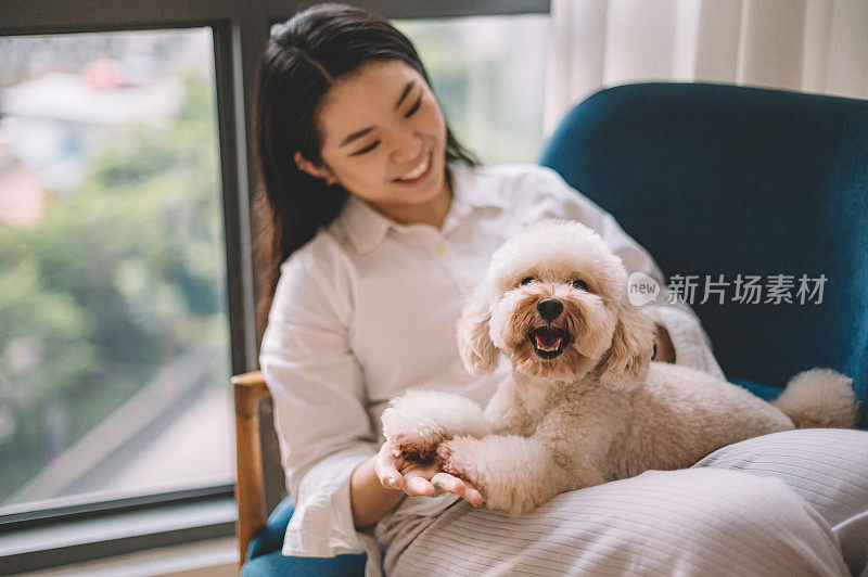 一位年轻的亚洲华裔女性在客厅靠窗的沙发上和她的宠物玩具狮子狗玩耍