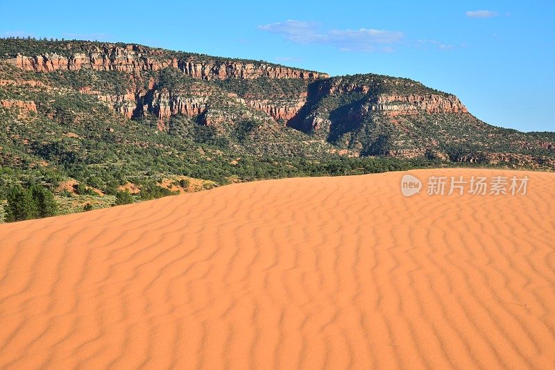 珊瑚粉沙丘州立公园