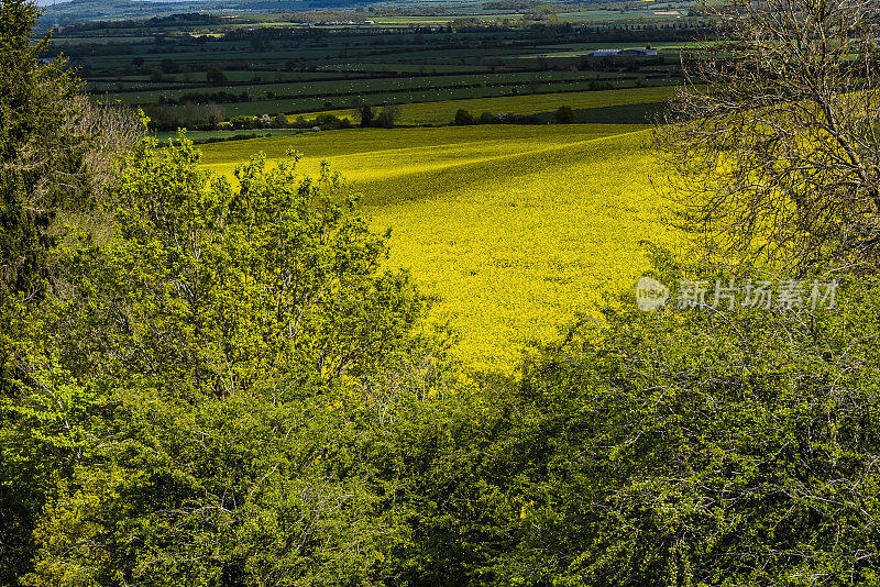 伯顿达塞特山俯瞰英国风景，英国中部的沃里克郡