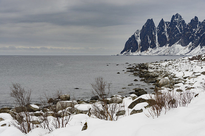穆迪冬季在挪威北部的奥克肖南山脉