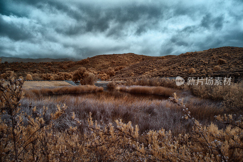 孤立的加州湖在日落与暴风雨云包围香蒲和芦苇