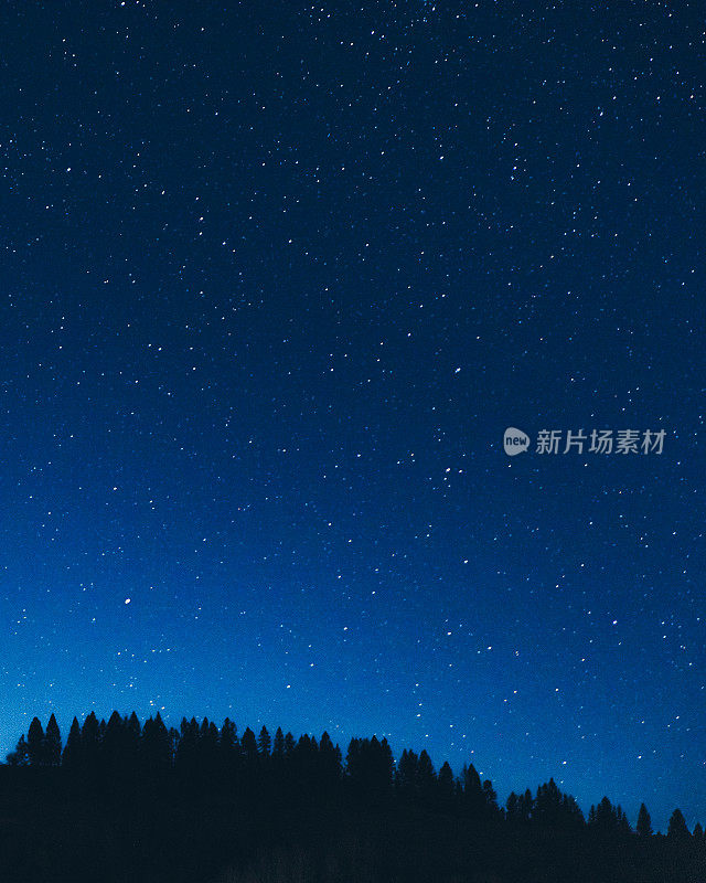 满天星夜充满魔力的山林