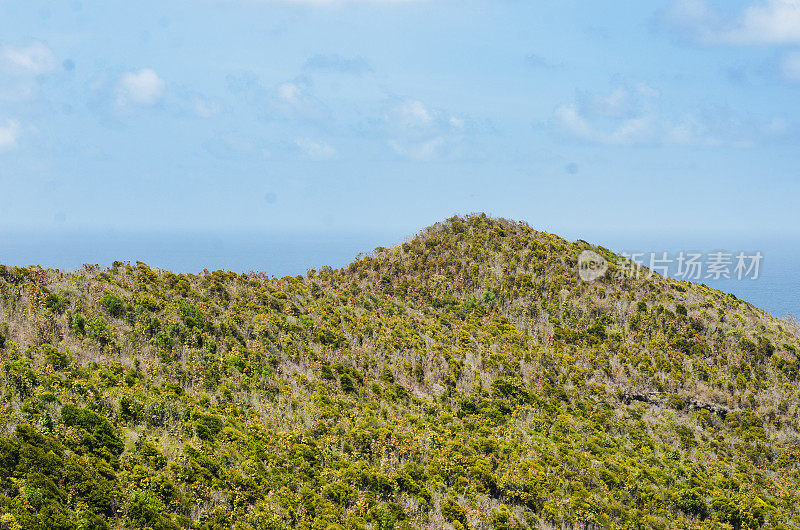 山绿树海远