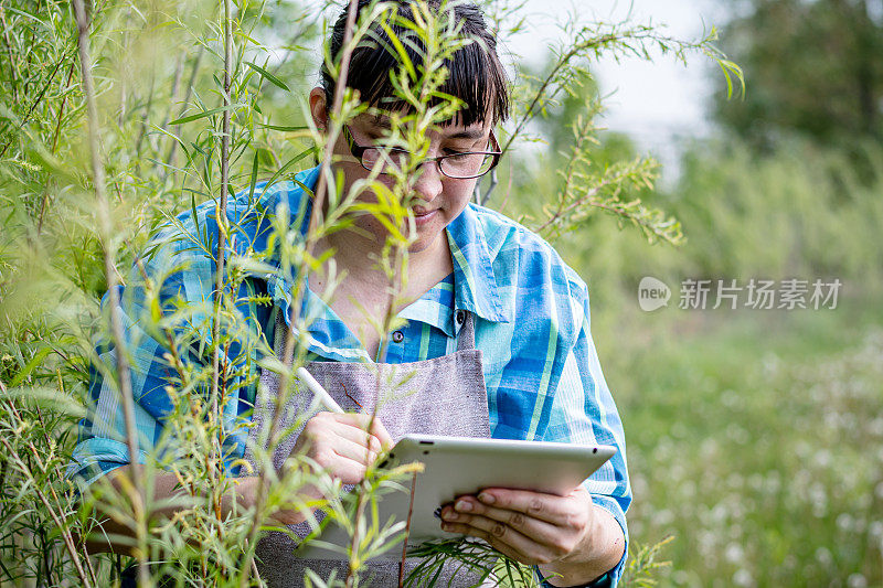 “捕捉湿地宁静:多元文化园丁通过数字发现参与自然。