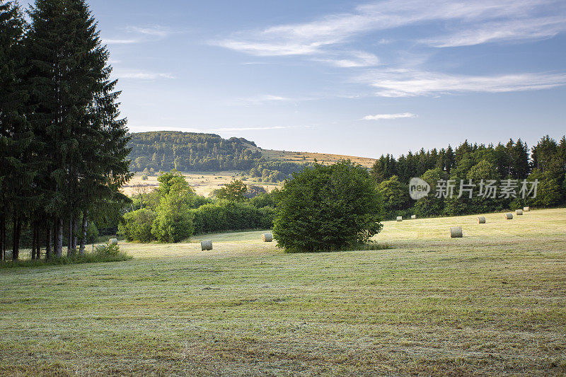 农田和山丘。生物圈保护区Rhön，德国