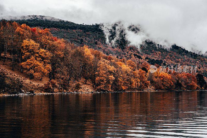 在智利阿劳卡尼亚地区的伊卡尔马，郁郁葱葱的绿色森林和宁静的湖泊在秋天的特写。
