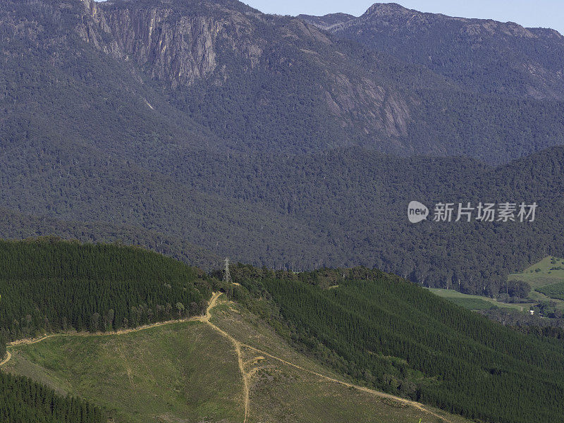 松林和山林