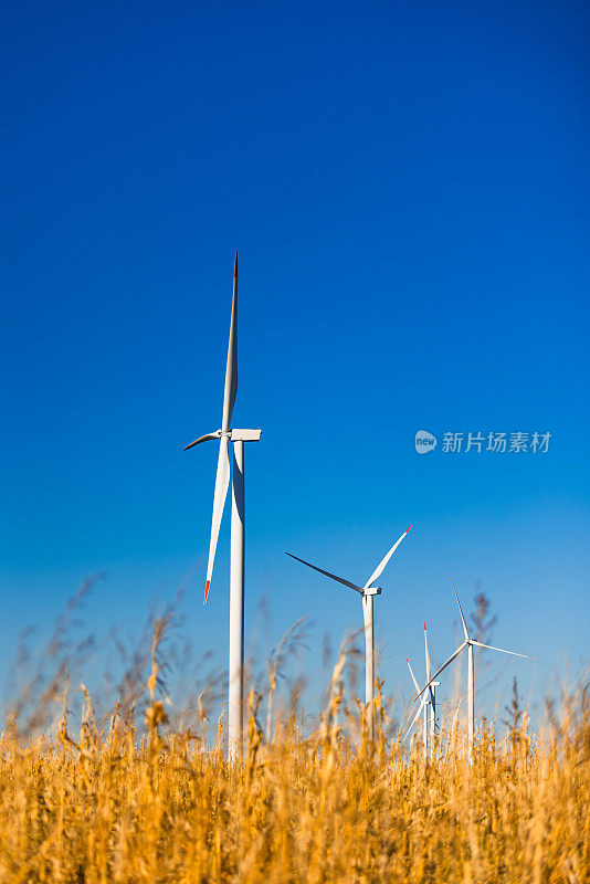 风力涡轮机农场在一个农业领域与一个美丽的蓝天和云