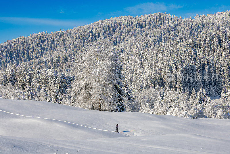 孤独的雪鞋徒步旅行者在瑞士中部一个完美的冬季景观