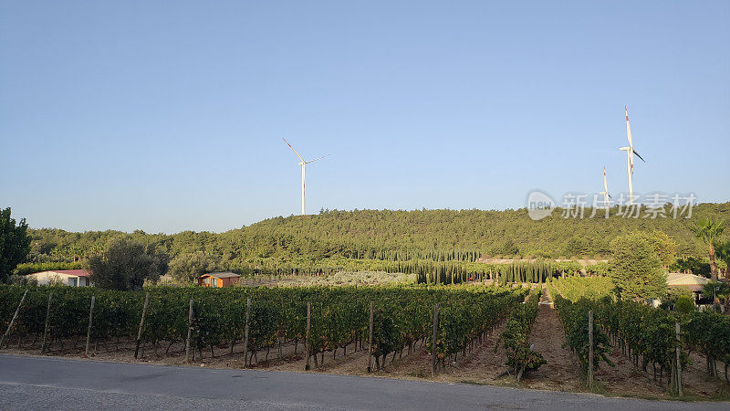 Urla_Izmir_Botanic_Park_October_2022