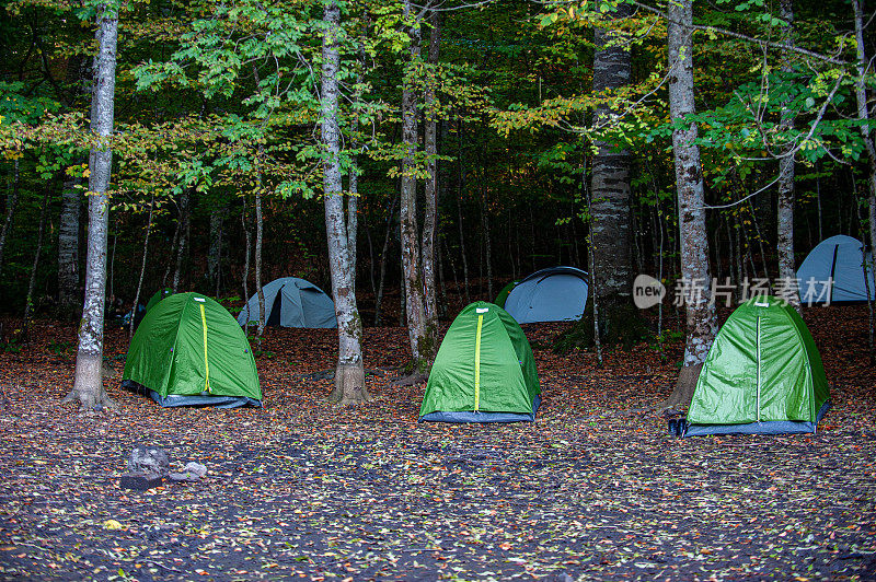 在森林里搭起帐篷