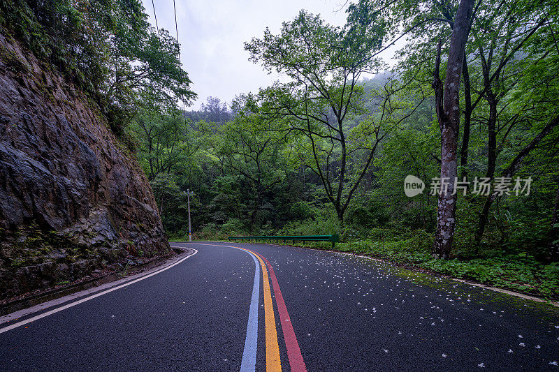 弯弯曲曲的山路