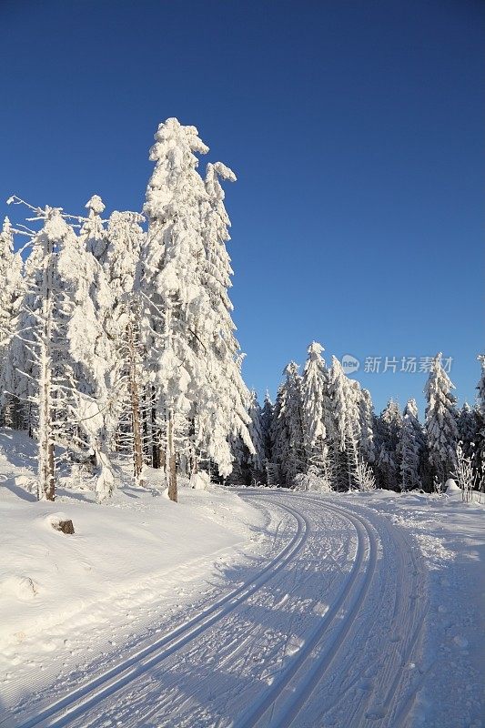 冬天的风景有白色的树木和越野车