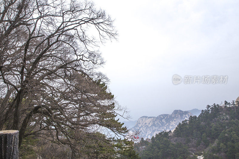 陕西省,中国,亚洲,渭南市,华山,