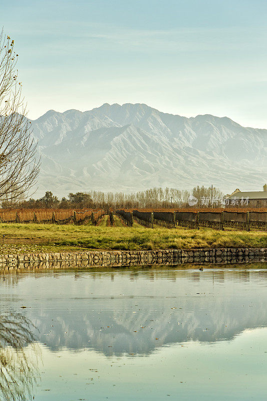 葡萄园，湖和山