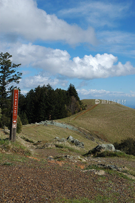 Tamalpais山上的小径