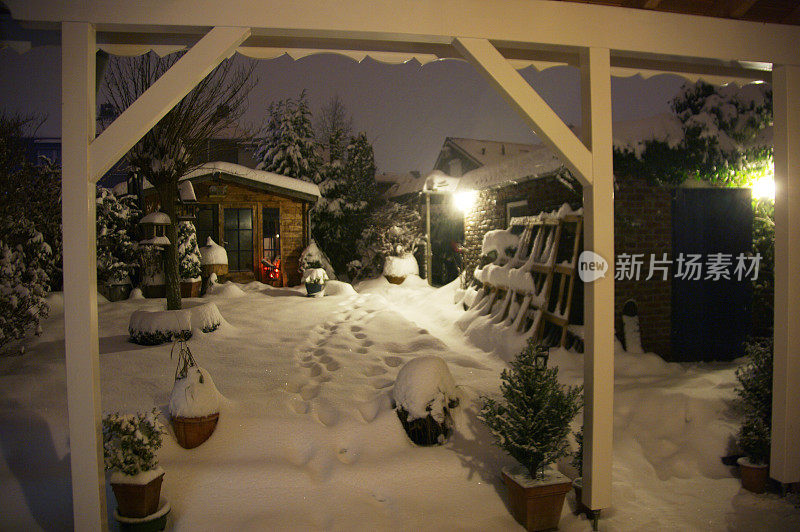 冬夜花园