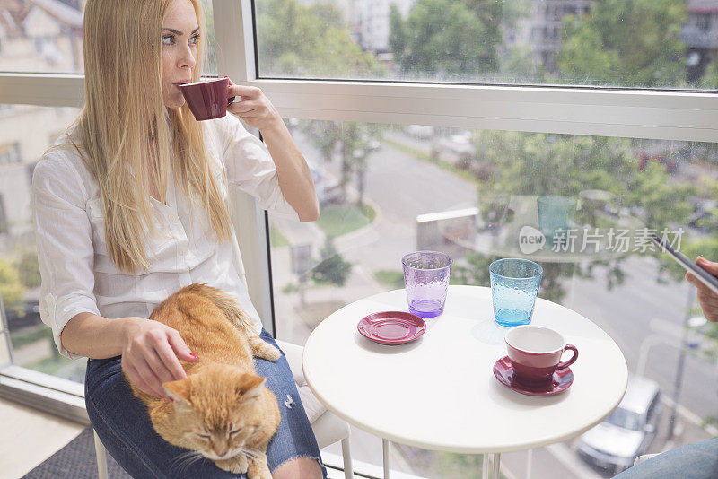 咖啡馆里带着猫的女人