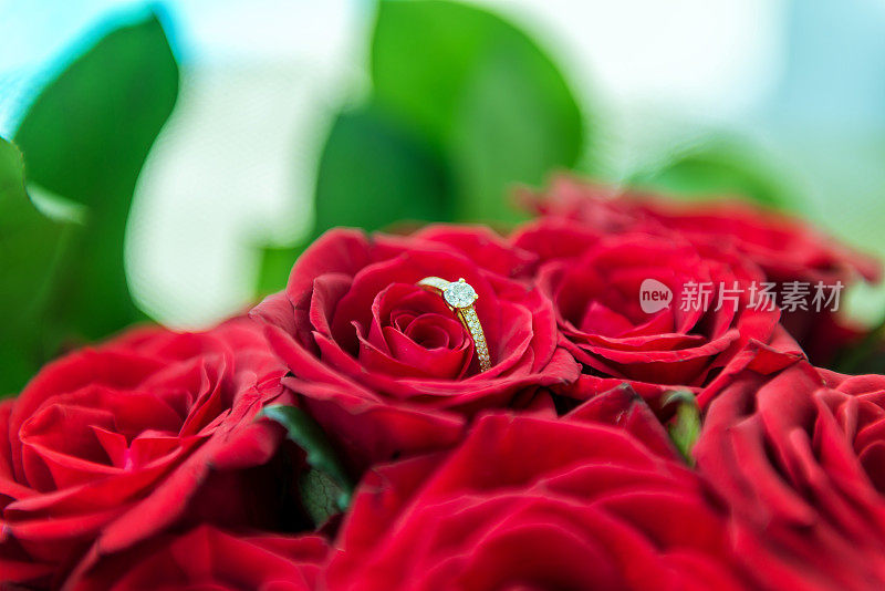 浪漫的红玫瑰和钻戒