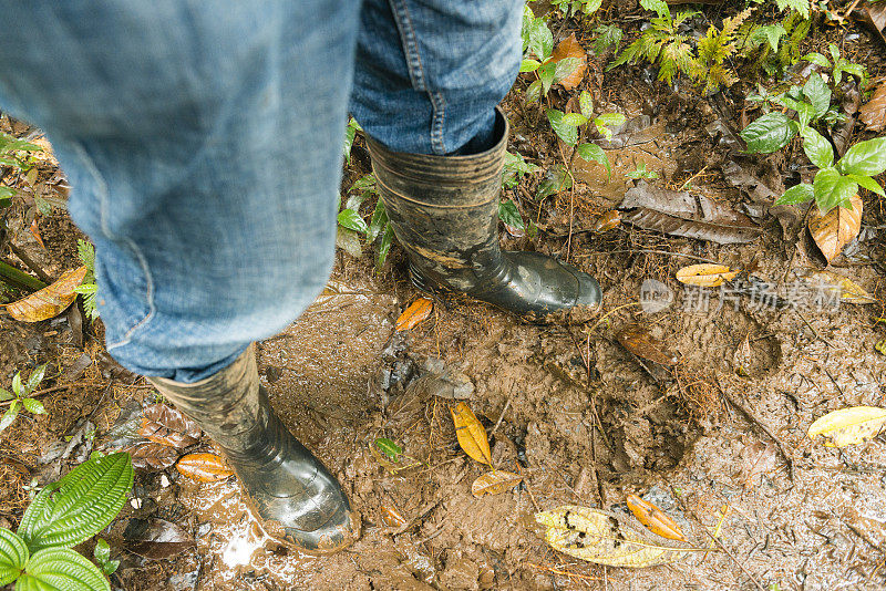 穿着牛仔裤和泥泞靴子的男人站在雨林小径上