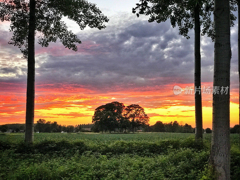 美丽的夕阳照耀着耕地