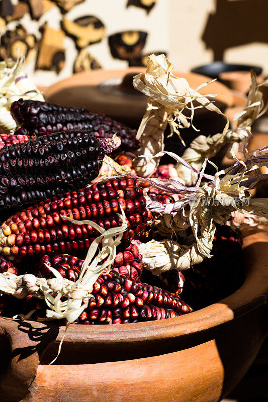 近距离观看或欢快的彩色干印第安玉米