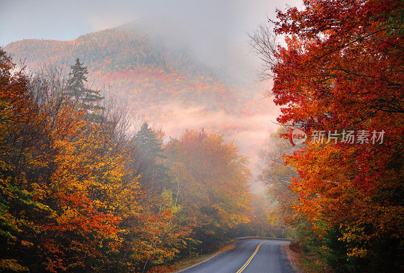 新罕布什尔州坎卡马古斯高速公路上的秋色