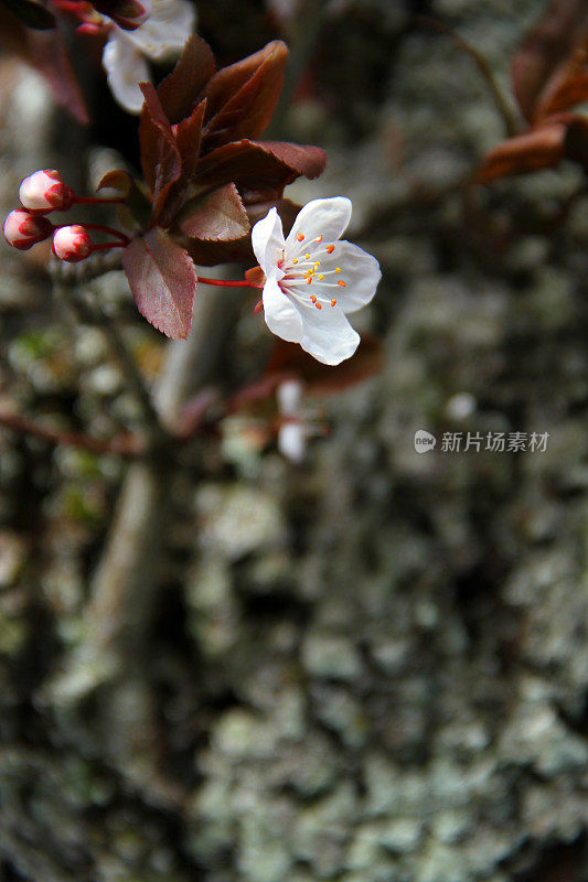 生活的地方