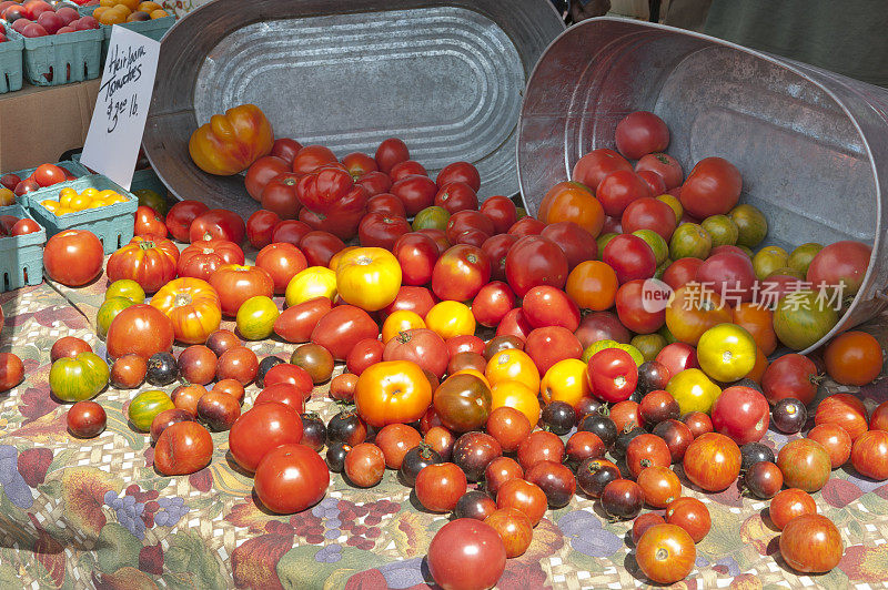 农贸市场的传家宝番茄