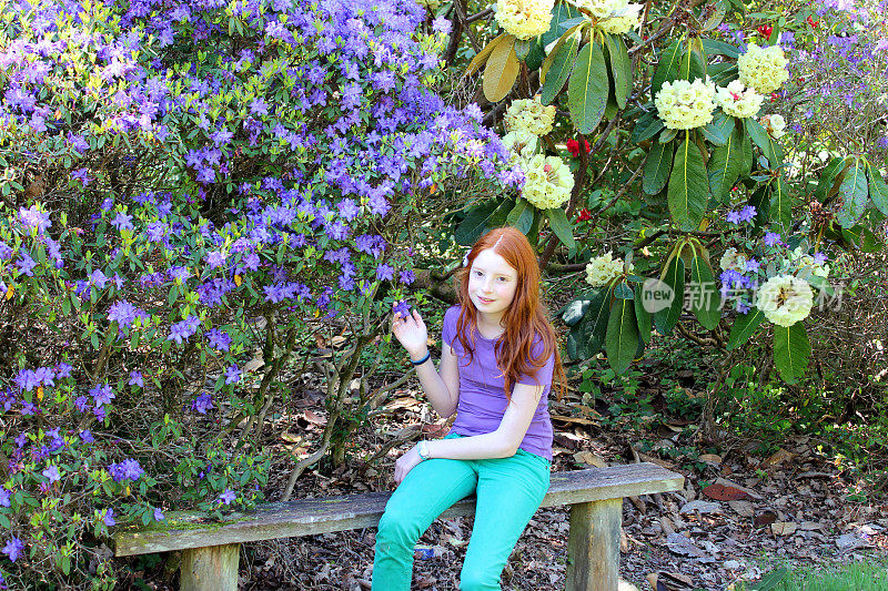 女孩坐在杜鹃花旁的木凳上