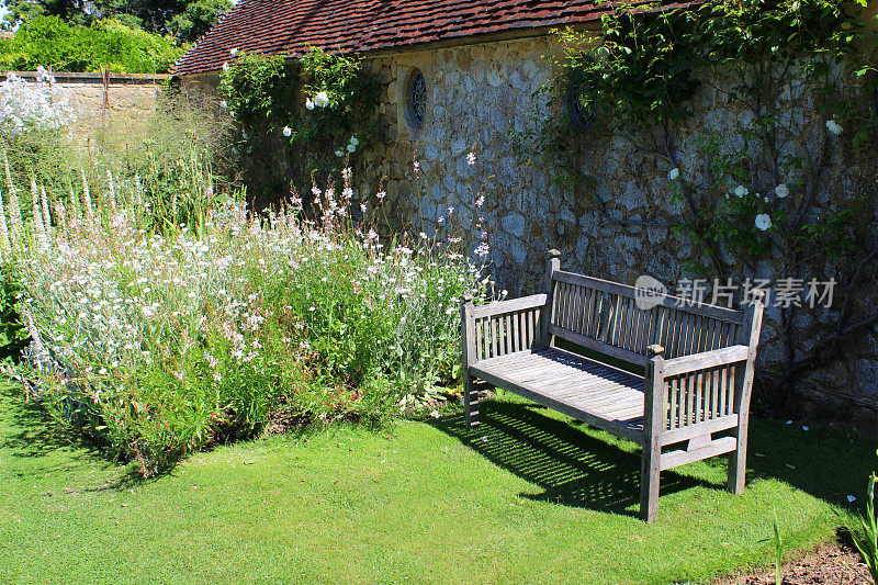 草坪上的木制花园长椅，草本花边，水仙花，紫花