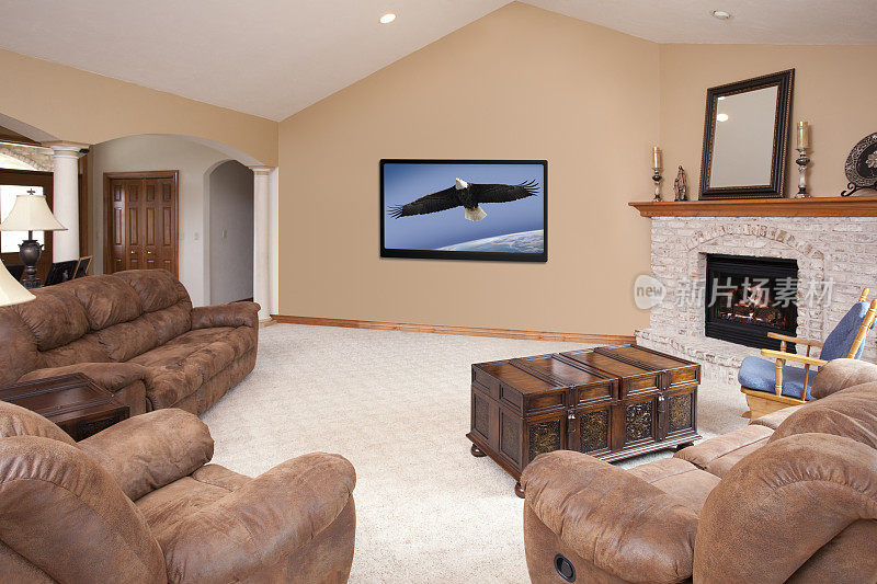 展示家居客厅与高清晰度电视和壁炉