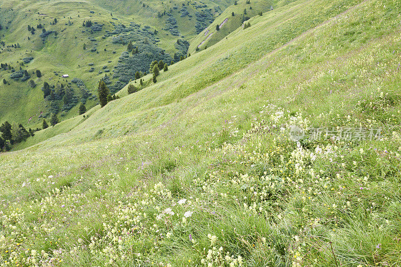 高山峡谷