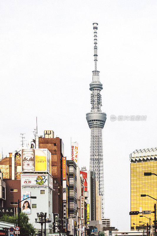 从浅草看到的东京天空树。