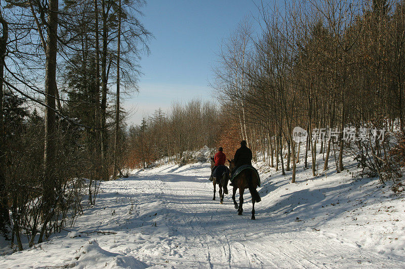 在雪地里骑马