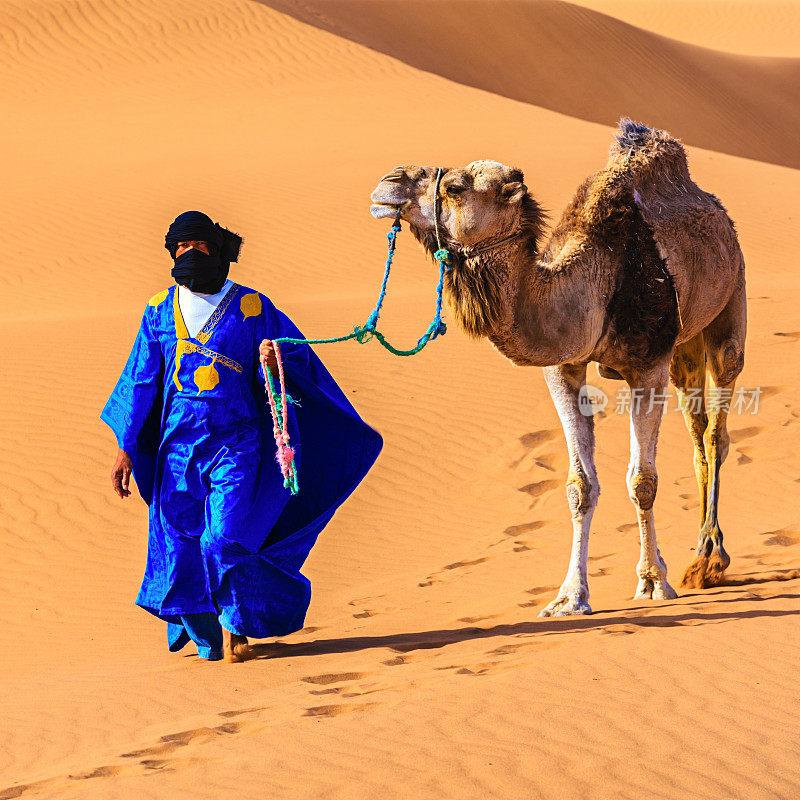年轻的图阿雷格人和骆驼在非洲西撒哈拉沙漠