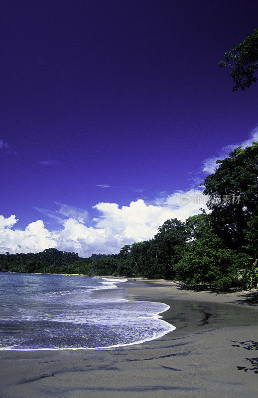 哥斯达黎加，蓬塔雷纳斯省，奎波斯，曼努埃尔安东尼奥国家公园，海滩。