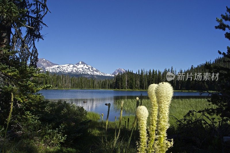 三个姐妹Beargrass