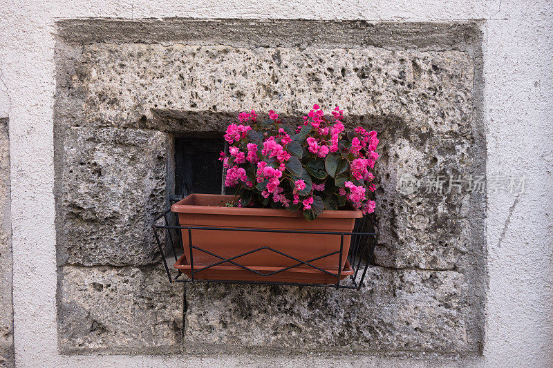 意大利，花之窗