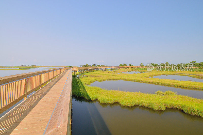 阿萨提格岛沼泽木板路的生活